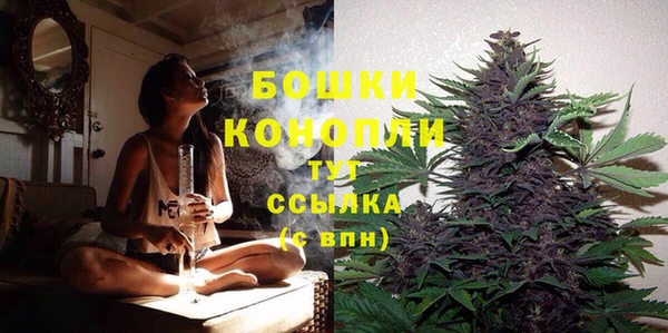 крисы Нефтекумск