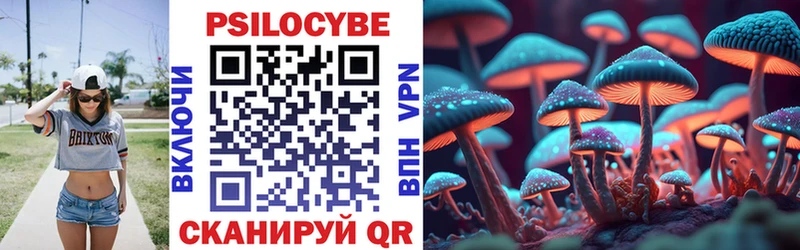 Псилоцибиновые грибы GOLDEN TEACHER Свободный