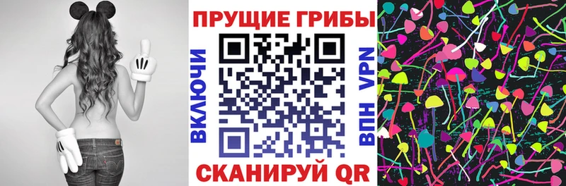 Галлюциногенные грибы Psilocybine cubensis  Купить закладки  Свободный 